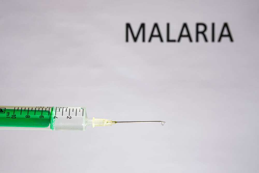 Malaria Vaccine