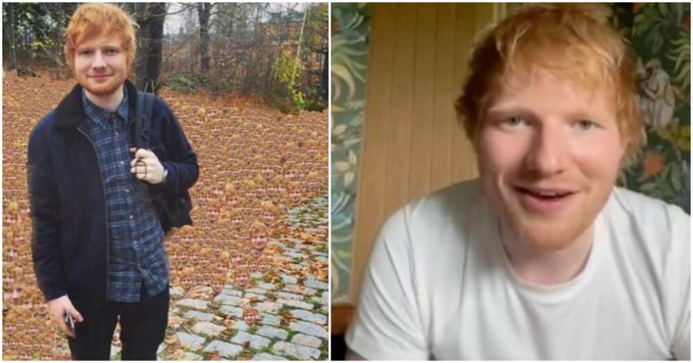Ed Sheeran's simple clothes.