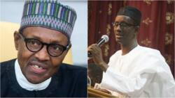 Report that Buhari recruited bandits to oust Jonathan is not from me - Ribadu