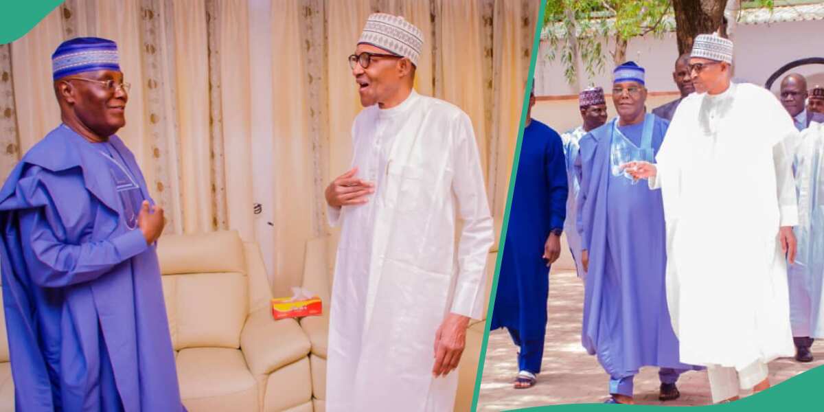 Trouble for Tinubu? Atiku reveals why he visited Buhari in Daura, shares photos