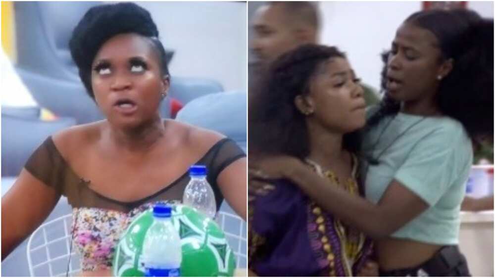 BBNaija 2019: Tacha and Thelma fight over food protion