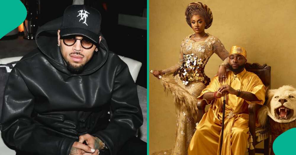 Chivido: Nigerians want Chris Brown at Davido and Chioma's wedding.