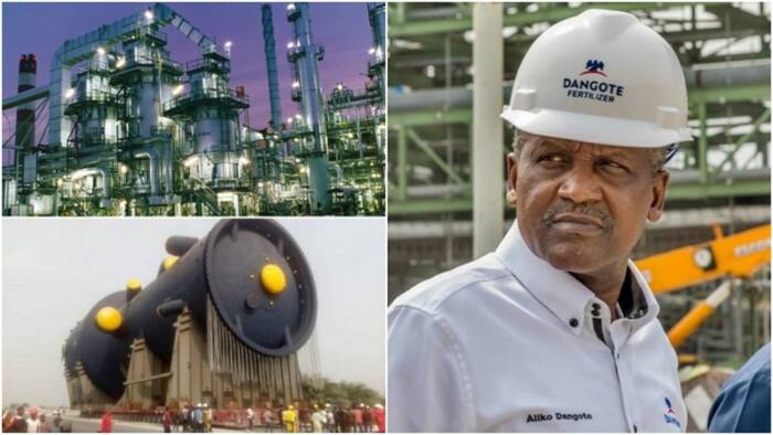 Dangote takes lead as six Nigerian companies shine on list of top 100 brands in Africa for 2023