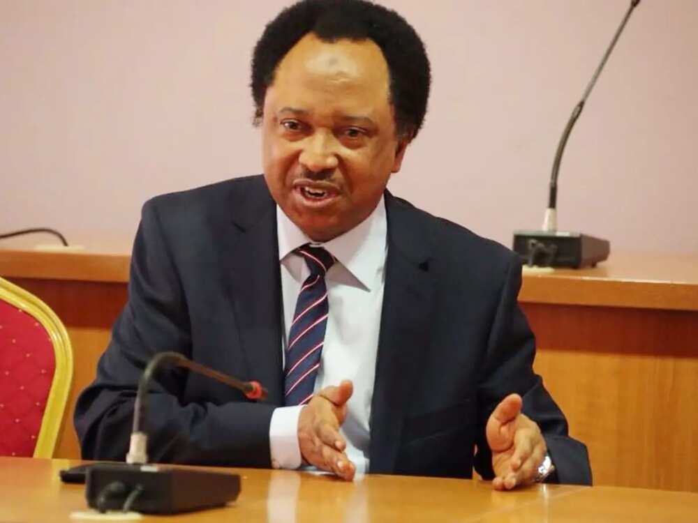 Shehu Sani ya ce shigo da masara bayan rufe iyakoki kamar an yi-ba a iya ba ne