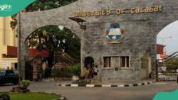 Sexual harassment: UNICAL management finally shaken, makes serious move