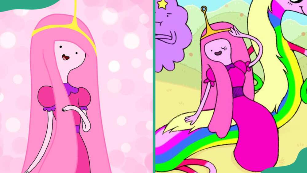 Princess Bubblegum from Adventure Time