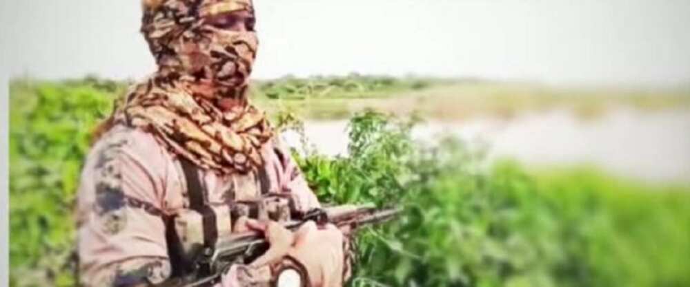 Bidiyo: Boko Haram ta tabbatar da ƙulla kawancenta da 'yan bindigan Niger
