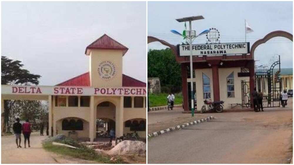 UTME 2021: Nigerian Polytechnics that Have Released Their Cut-Off Marks