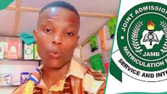 JAMB 2024: Student who lost sim card cries out, risks rewriting UTME as no result shows in portal
