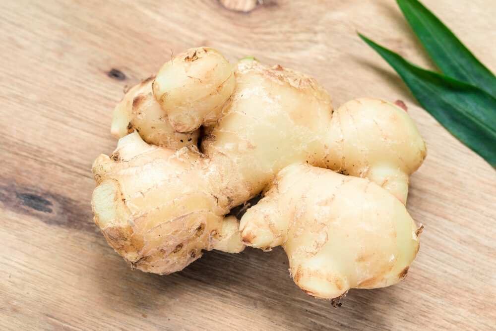 Ginger, garlic and honey mixture benefits