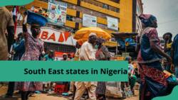 South East states in Nigeria: List, map, languages spoken and more