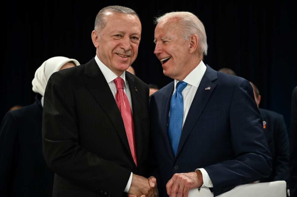 Turkey's President Recep Tayyip Erdogan and US President Joe Biden are all smiles after working out differences on NATO expansion