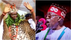 Tinubu's Presidency: OPC congratulates president-elect, makes 1 urgent demand