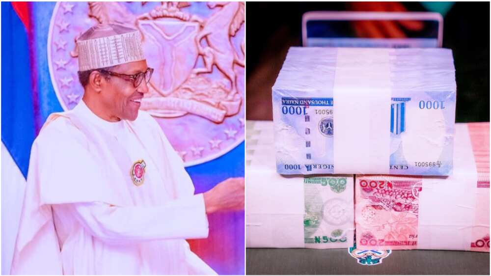 APC chieftain sends message to Buhari over new naira