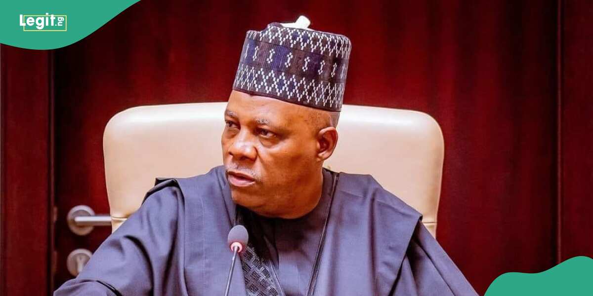 "My ex-classmate languishing in a mediocre bank", says Shettima in viral video