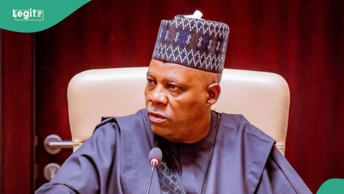 Nigerians drag Shettima for berating ex-classmate bank job who was best graduating masters student