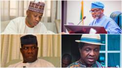 Prominent Nigerian politicians who have dual citizenship
