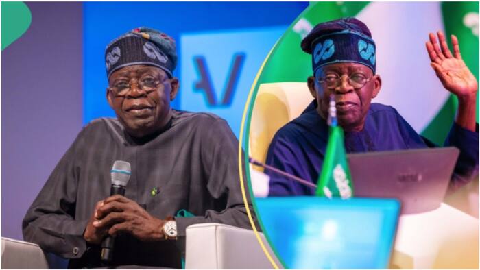 Mixed reactions as Tinubu shuns security for interfering while greeting Okoya in trending Video
