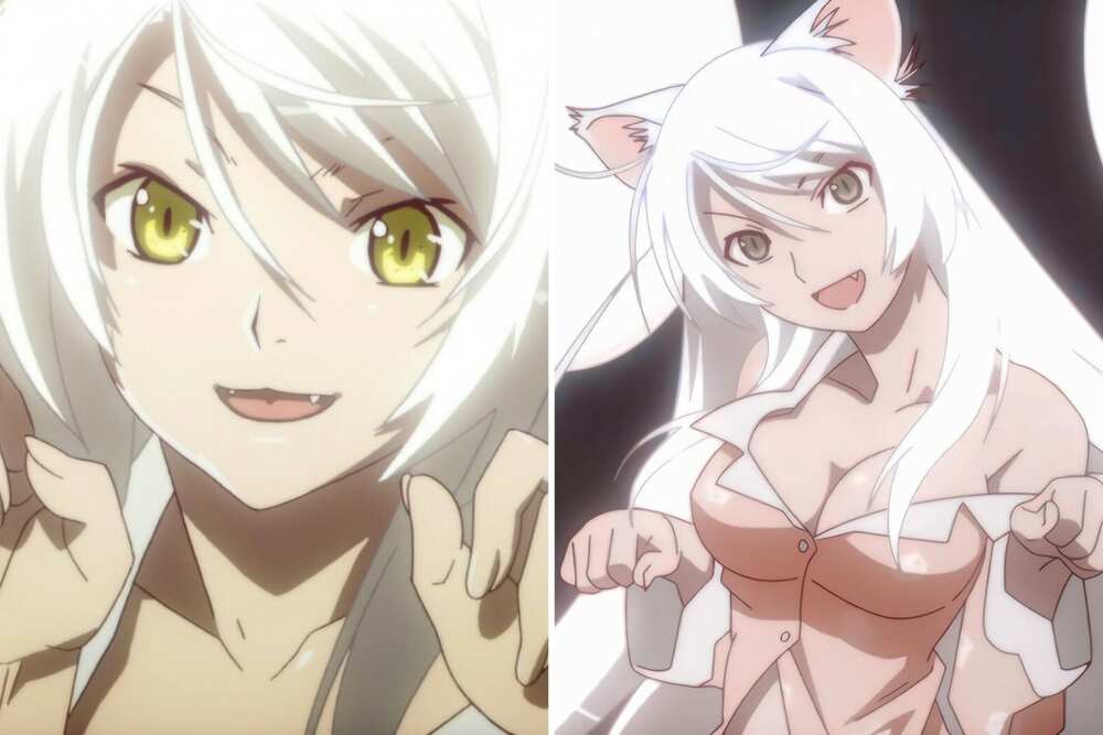 white hair anime guy demon