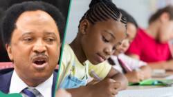 Tuition hike: What parents who can’t afford expensive private schools should do, Shehu Sani reveals