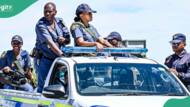 "We will not allow such”: Nigerians arrested for attacking South Africa policemen during drug raid