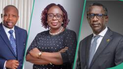 NAICOM orders Odukale, Smart, 7 other insurance companies' CEOs to resign by December 2023