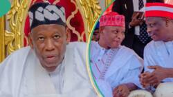"It's over for Ganduje": PDP chieftain predicts Kano governor's next move after S/Court victory