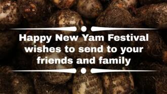 Happy New Yam Festival wishes to send to your friends and family