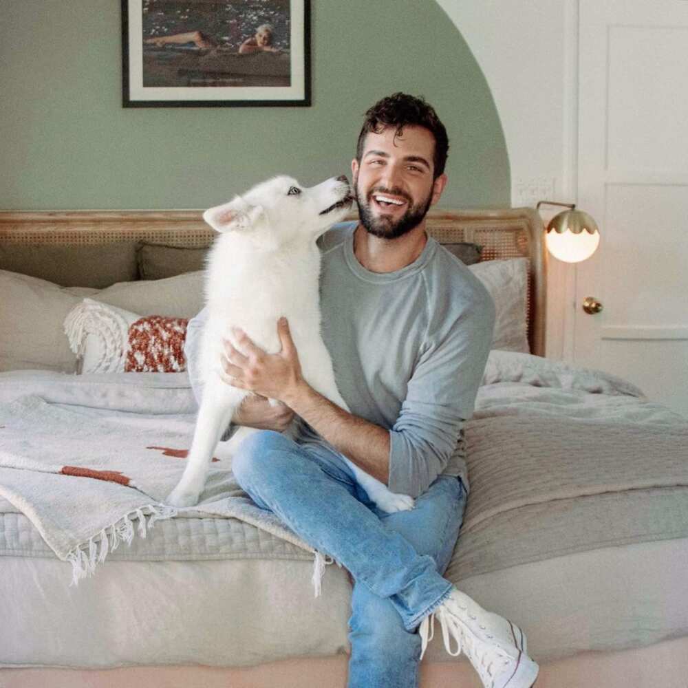 Daniel Preda’s biography age, height, birthday, boyfriend Legit.ng