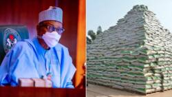 Buhari’s rice pyramid drives price of Commodity through the roof
