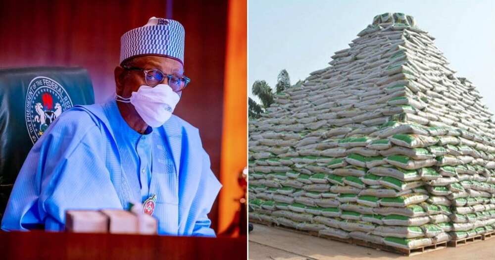 Rice Pyramid by Buhari