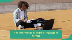 What is the importance of English language in Nigerian schools?