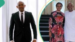 Tony Elumelu and wife's throwback photo stirs talks on 'humble beginnings', netizens divided