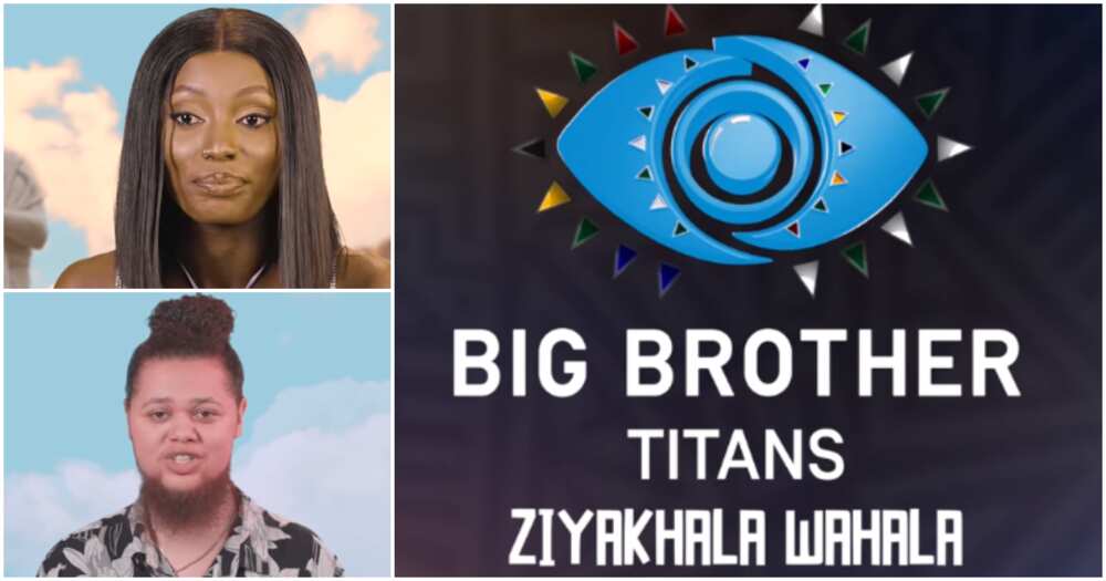 Big Brother Titans.