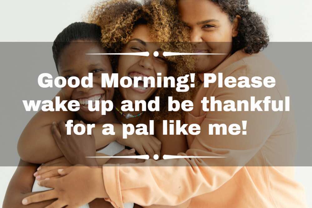 Funny good morning messages for friends Funny good morning messages for friends
