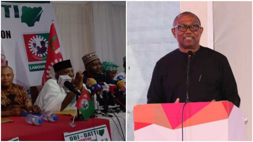 Peter Obi/Doyin Okupe/Labour Party Presidential Campaign Council List