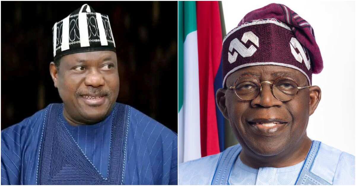 BREAKING: Buhari's ex-minister gets fresh appointment in Tinubu's cabinet