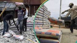 Expert names those behind high Dangote, BUA cement prices, confirms real cost of a bag