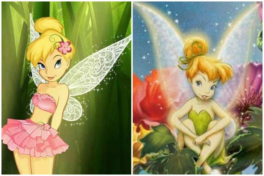 all the Tinker Bell fairies