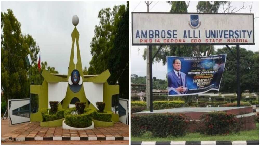 Top Nigerian University dismisses 4 lecturers over gross misconduct