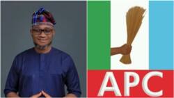 Revealed: Why APC has no other option than cleric as guber candidate