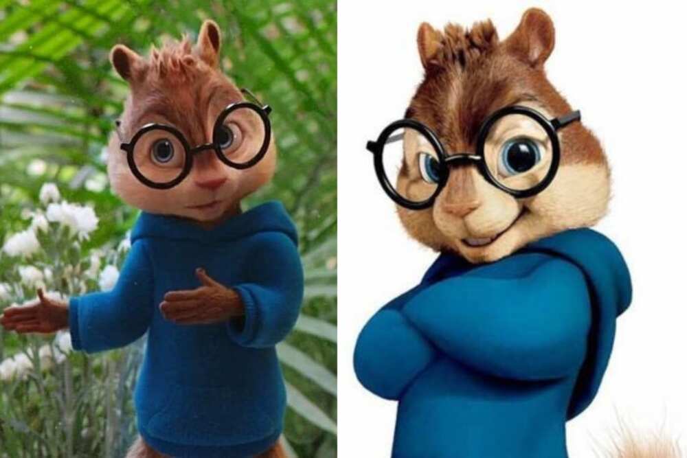 Nerdy cartoon characters with glasses Nerdy cartoon characters with glasses