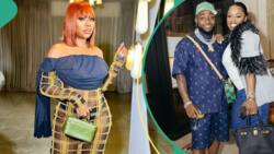 Sophia Momodu stuns in new pics amid Davido's celebration of Chioma, fans shade singer and wife
