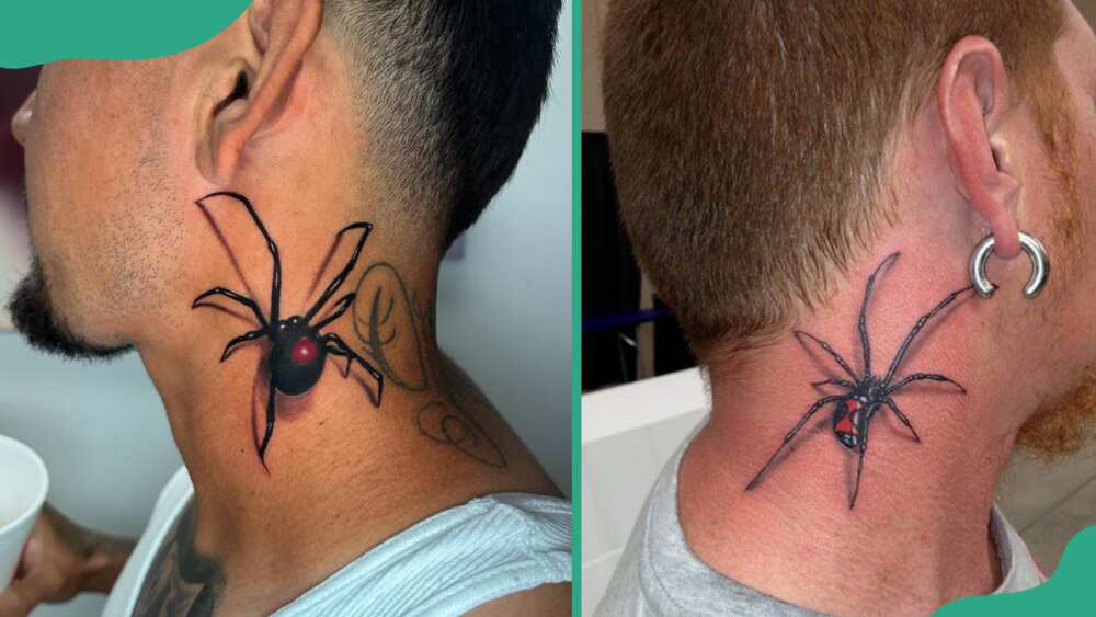Spider tattoo on neck