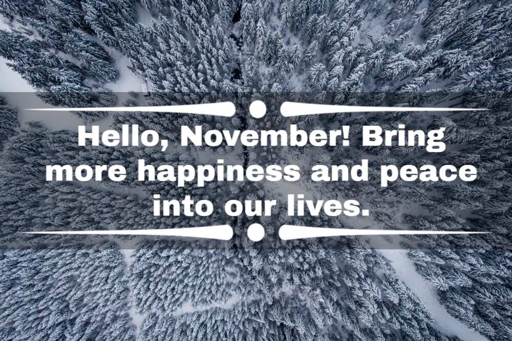 Hello November quotes