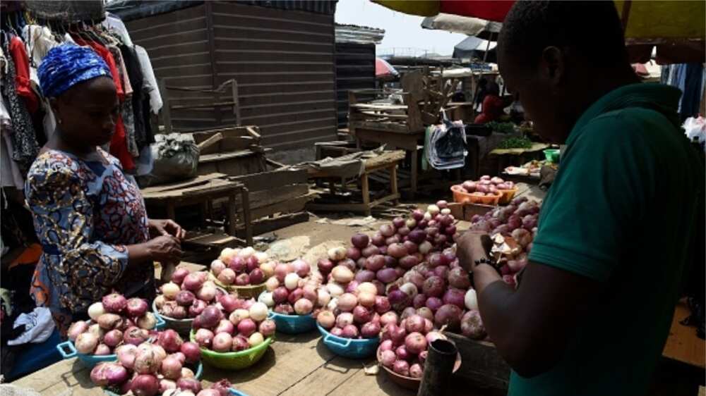Insecurity: Onion Producers Suspend Supply to Southeast