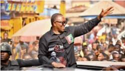 2023 presidency: Danger lurks for Tinubu in Southwest as Afenifere youths make big promise to Peter Obi