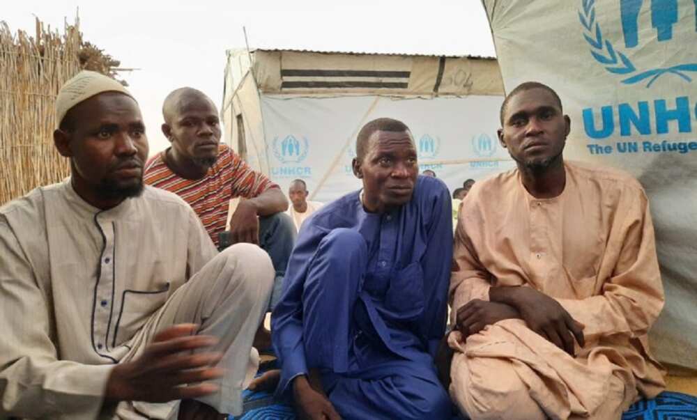 Borno: 'Yan gudun hijira sun koka da rashin samu abinci Borno: 'Yan gudun hijira sun koka da rashin samu abinci