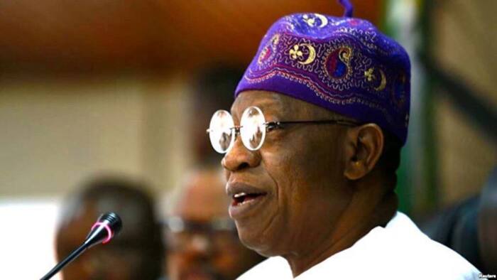 Buhari's ex-minister, Lai Mohammed, bags foreign appointment