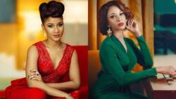 Adesua Etomi’s biography: age, parents, movies, where is she from?